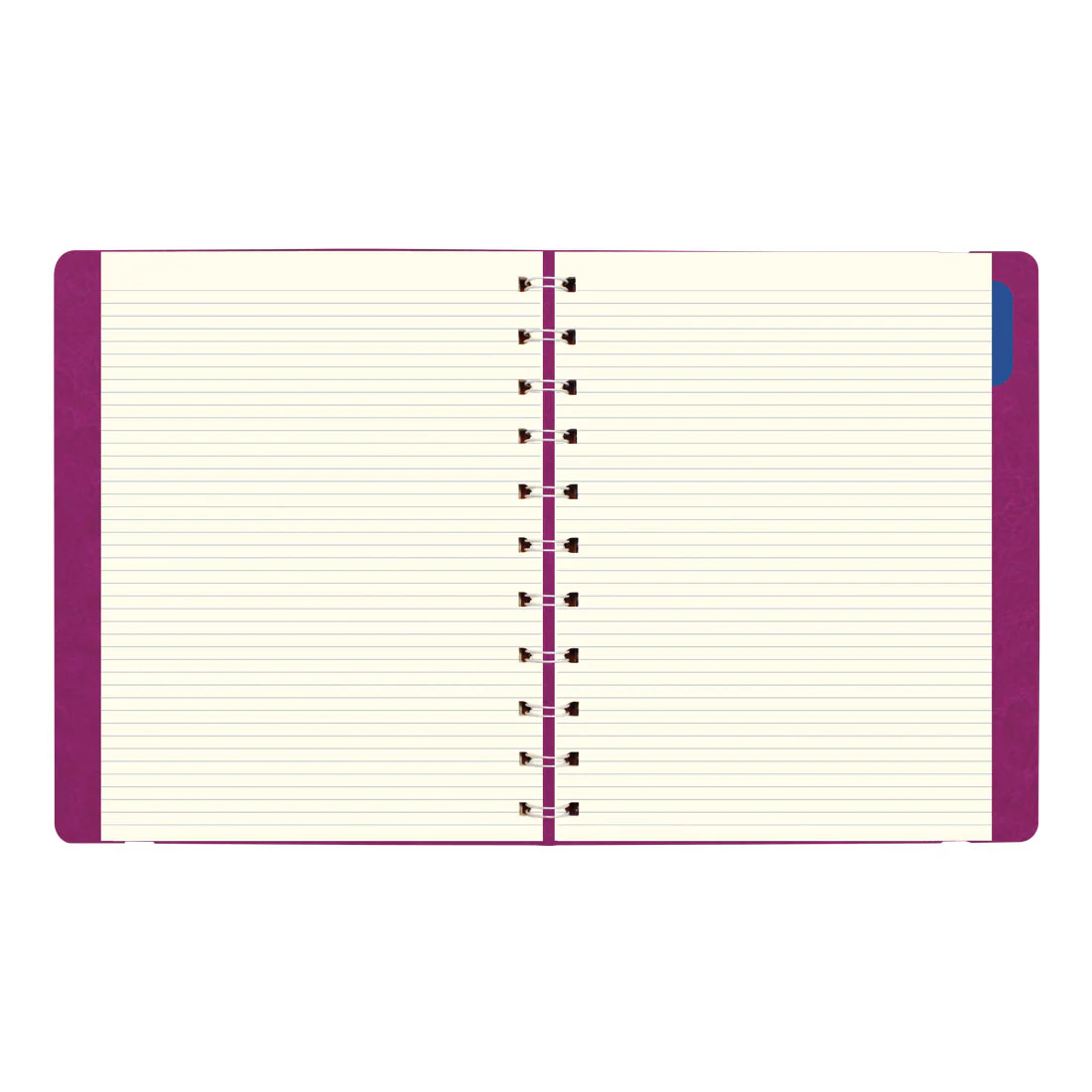 Filofax Monthly Planner - Letter 2026 - Image 10